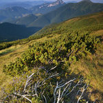 Od kleče k Rozsutci