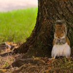 Tady mě nenajdou;-)