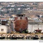 "kocábka náramná"