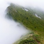 Před mlhou, za mlhou...