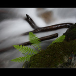 Fragmenty Stříbrného potoka