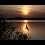 Západ u Horušického rybníka