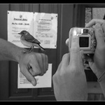 v Dalešickém pivovaru..