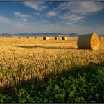 Po žních pod Středohořím.
