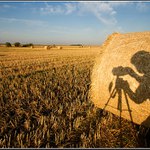 Když vycházelo slunce