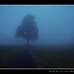 ----|----------------