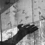 Choď si cestou-necestou...