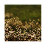 loučení se sluncem