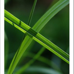 ~světlo˙stín & Co.~