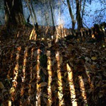 Po podstatě hrabání