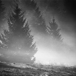 Šumavské střípky