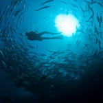 Galaxie