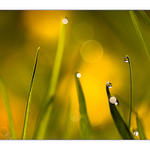 ..Malé drobnosti kolem nás..