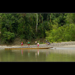 Madidi P.N.
