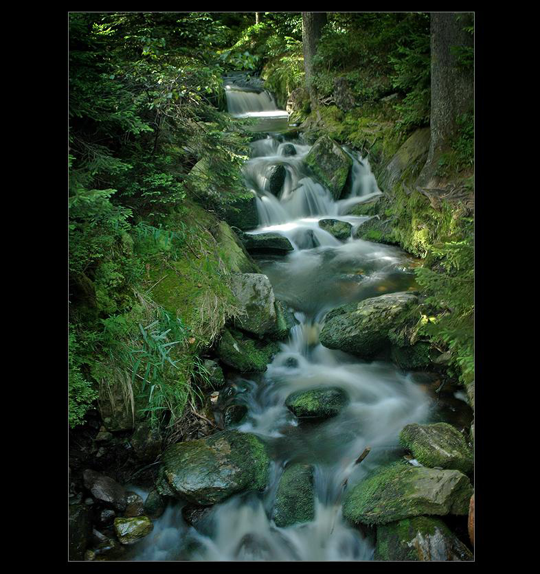 .: ZELENÝM KORYTEM ..