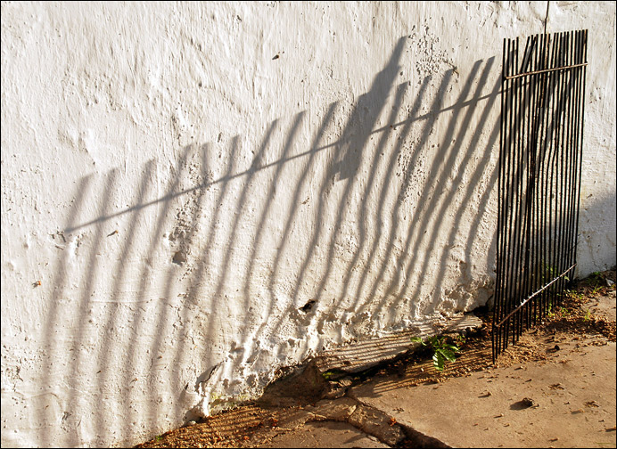 Žbrlinkové zátiší