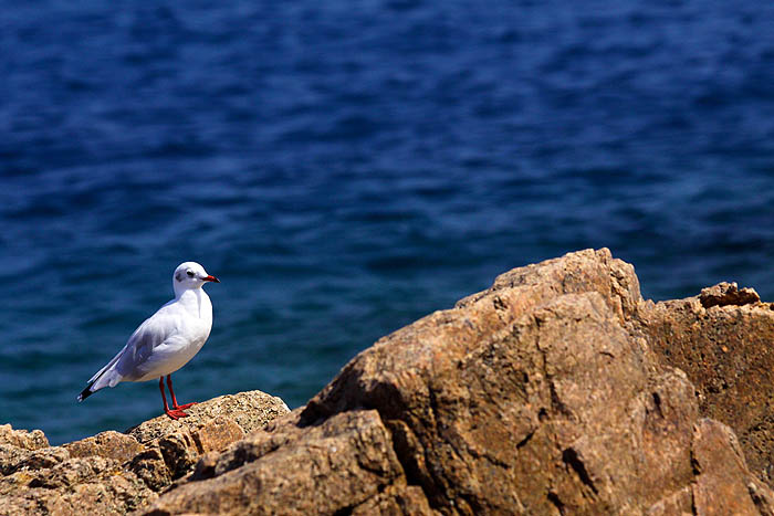Costa Brava
