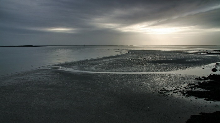 ...The Long Walk...