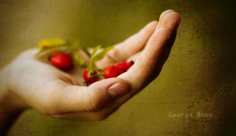 Just a hand