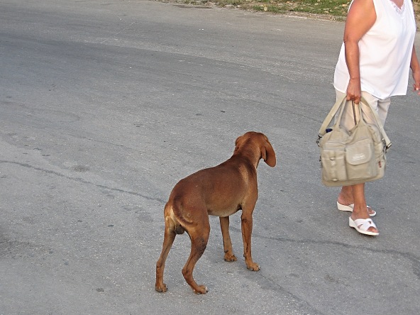 ...copak to má panička v kabeli..?