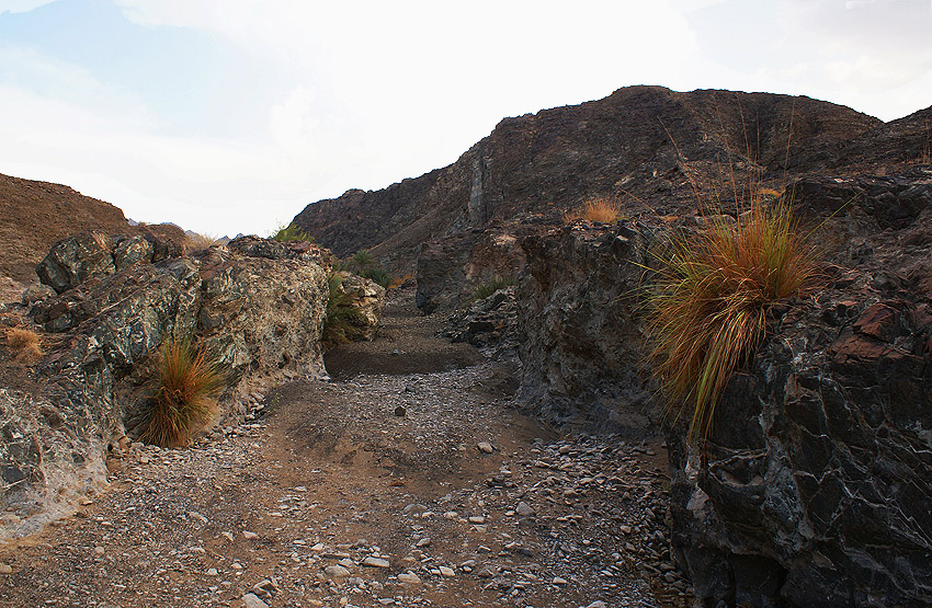 Wadi