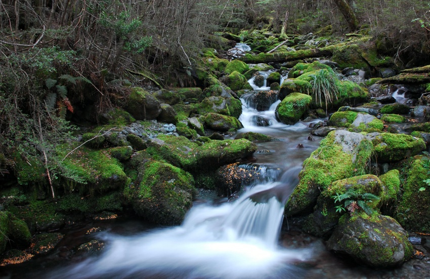 Greenstone track stream