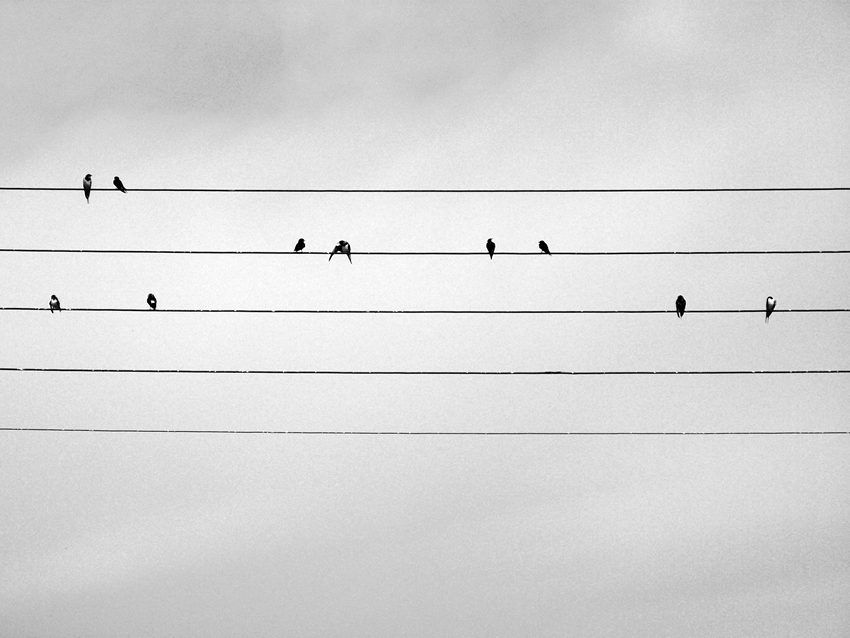 Blues pro babí léto