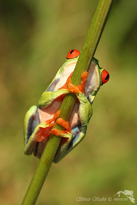 a nebudu se fotit ...