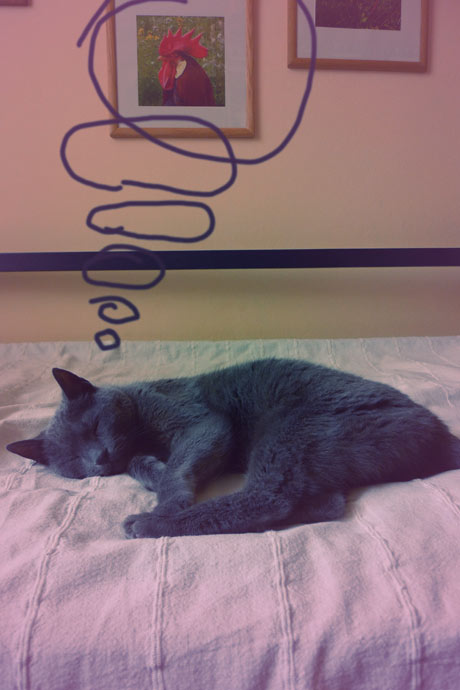 Spím, buďte v klidu, ale už se