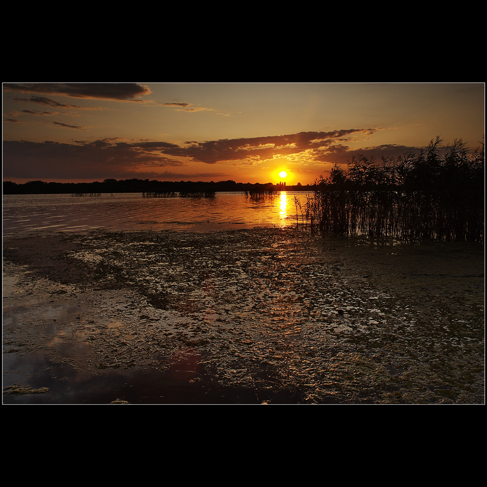 Zapadovka v bažinach