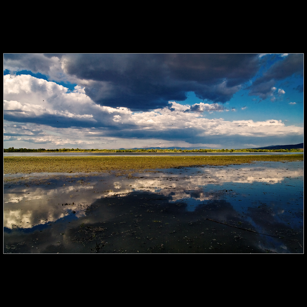 Před bouřku v bažinach