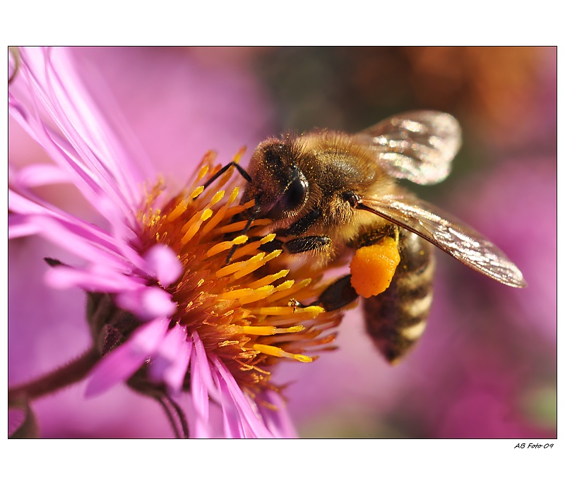 ... Všechno to tu sežeru ...
