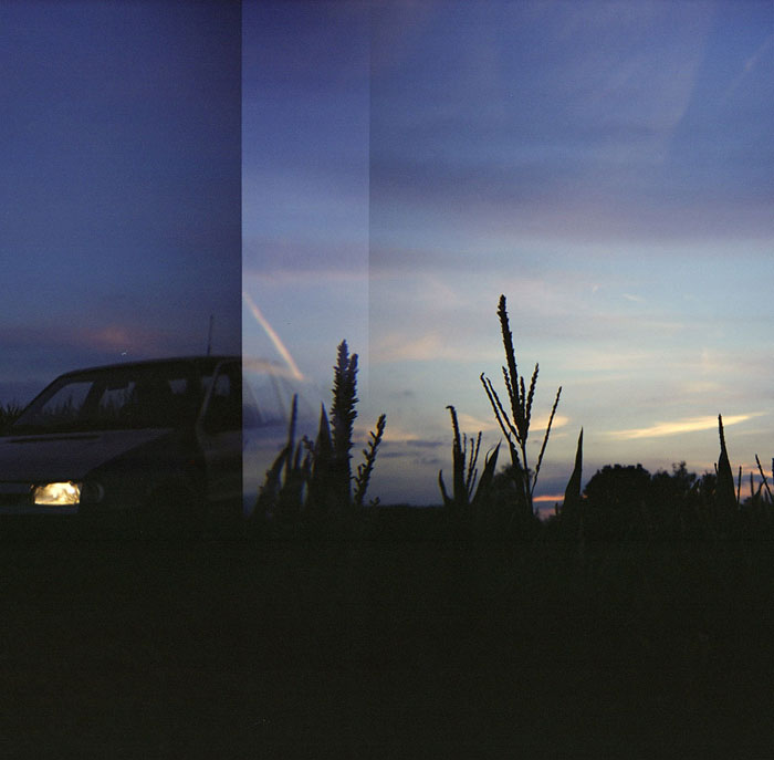 the field