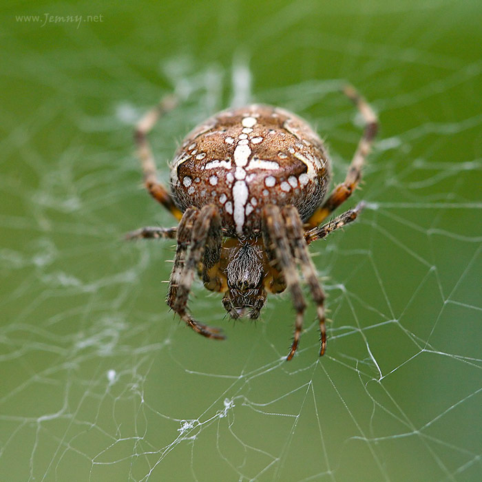 hmmm a jeste tady to musim opravit... ze sebou tak hazou!