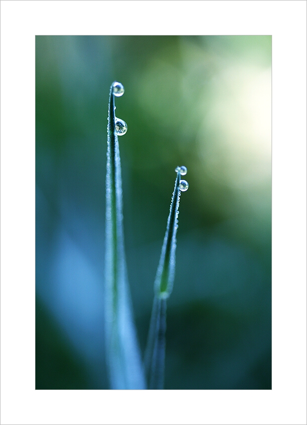 *** Ranní třpytky II. ***