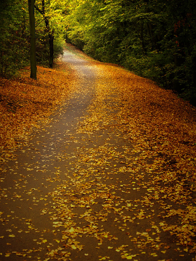 *** HÁDEJ KDO PŘICHÁZÍ ***