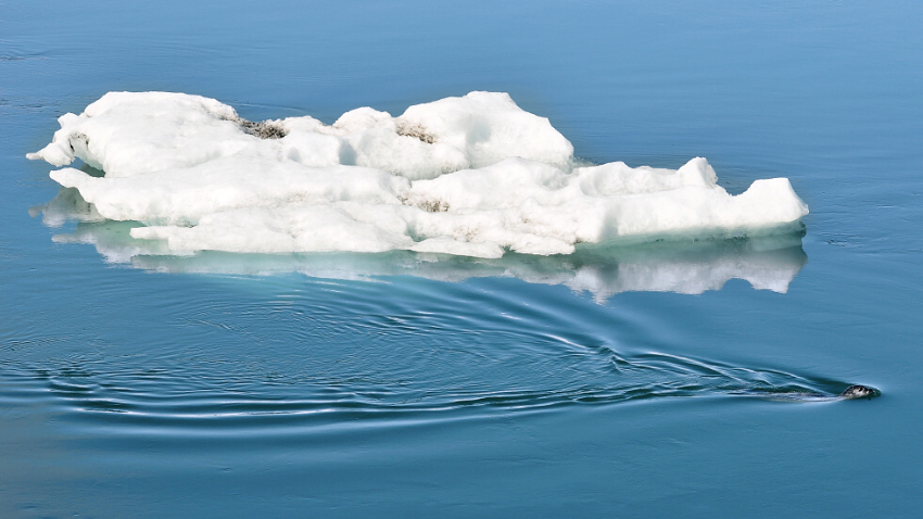icebreaker