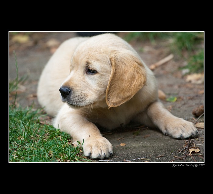 čekání na velkej svět