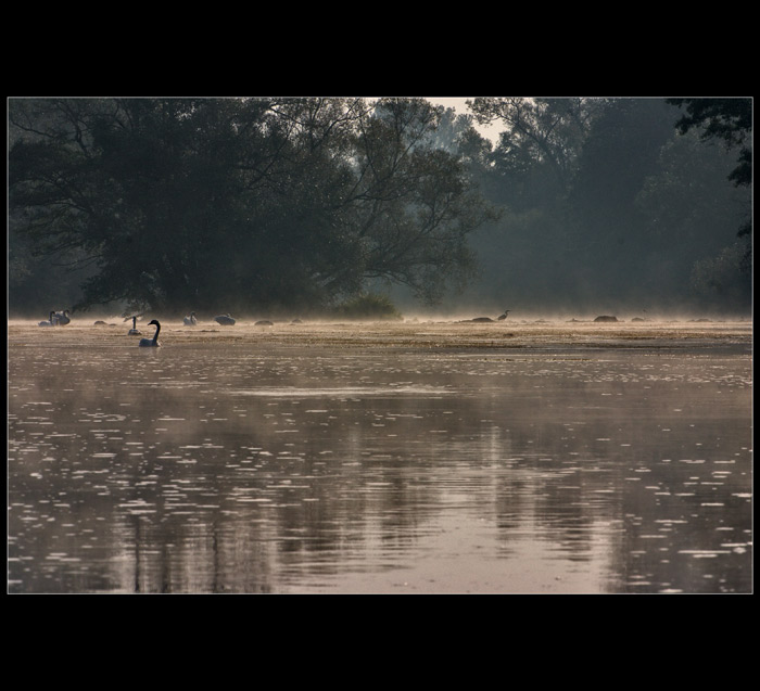 ***Ohře, pod nechranickou přehradou***