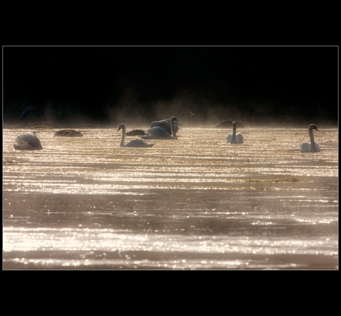 ***Ohře, pod nechranickou přehradou 2***