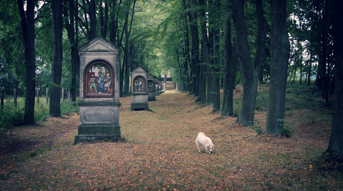 Kalvárie