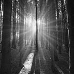 poslední letní deteky