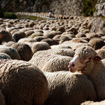 Doprava: stupeň č. 5