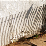 Žbrlinkové zátiší