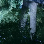 Poděkování Merlinovi