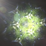 Poselství pro dnešní den