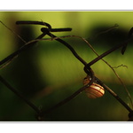 Až budem na vrchole