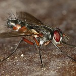  po ránu se protáhneme