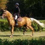 Připraven ke startu