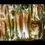 Má mne rád , nemá mne rád ....